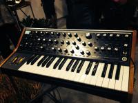 Moog Sub 37