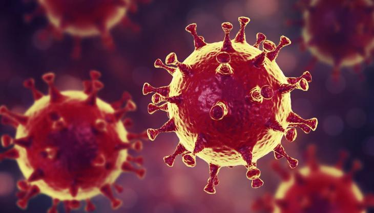 corona-virus-ab.jpg