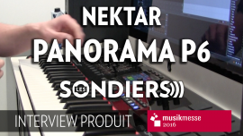 nektar-panorama-p6.png